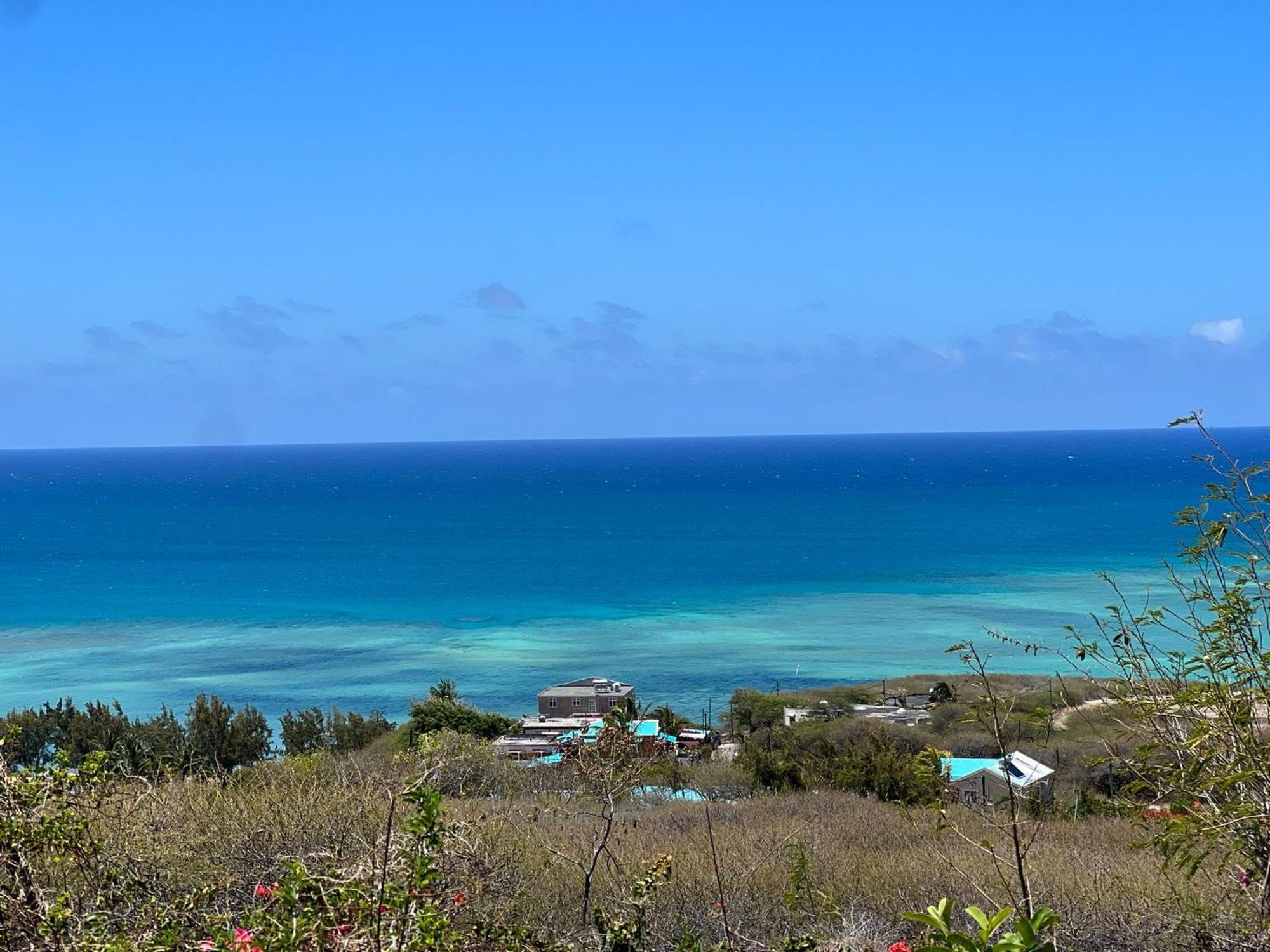 Lily Pad Lodge Bambou Esterno foto